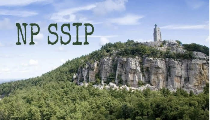 ssip picture